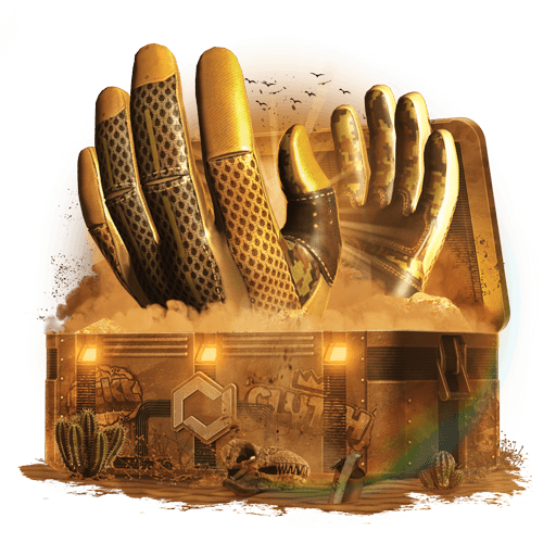 Luxury Gloves Case